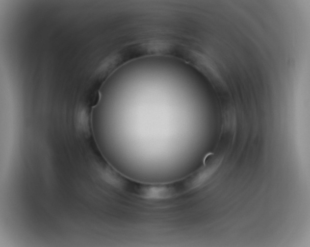 X0000113890575200910011325