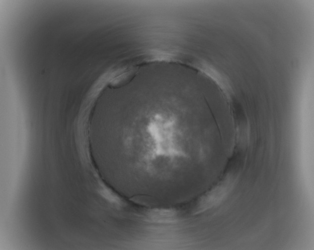 X0000113890577200910011324