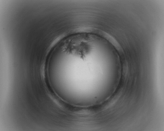 X0000113890578200910011324