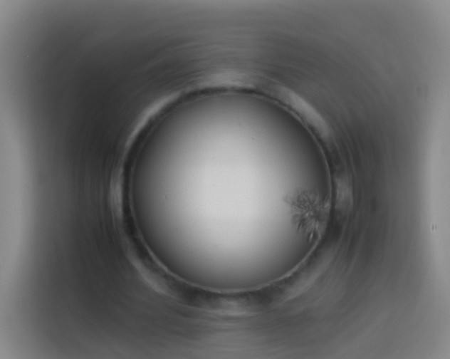 X0000113890580200910011324