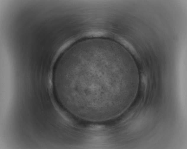 X0000113890582200910011324