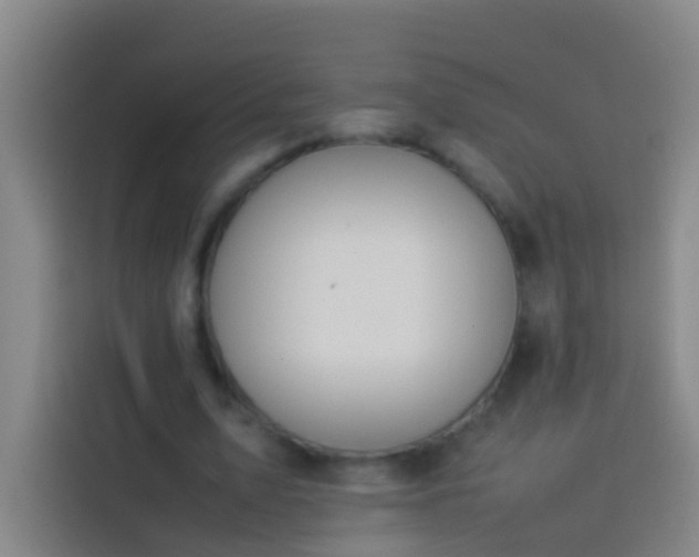 X0000113890583200910011324