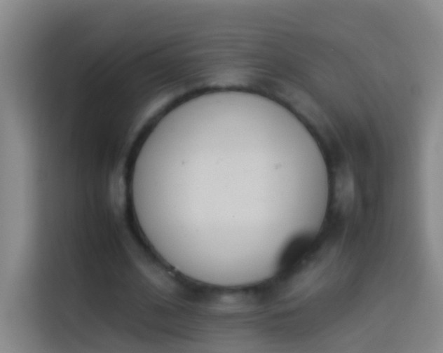 X0000113890584200910011324