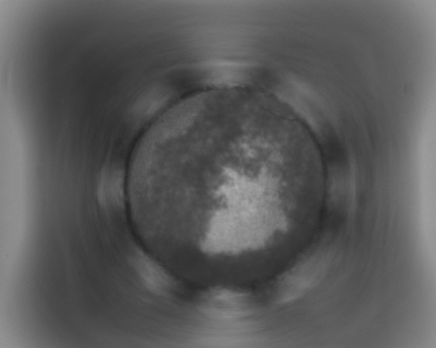 X0000113890585200910011324