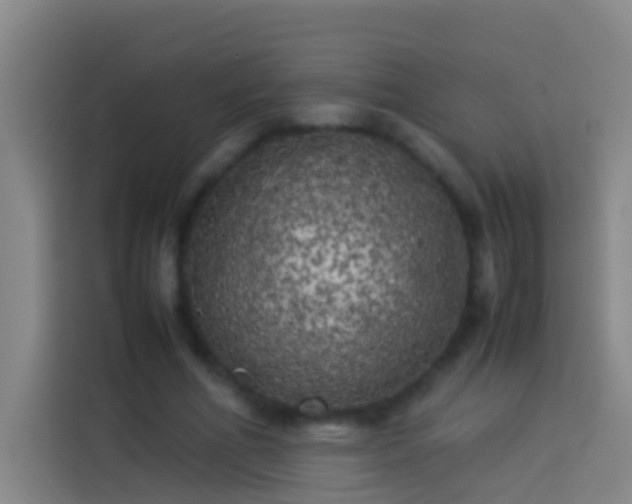 X0000113890586200910011324