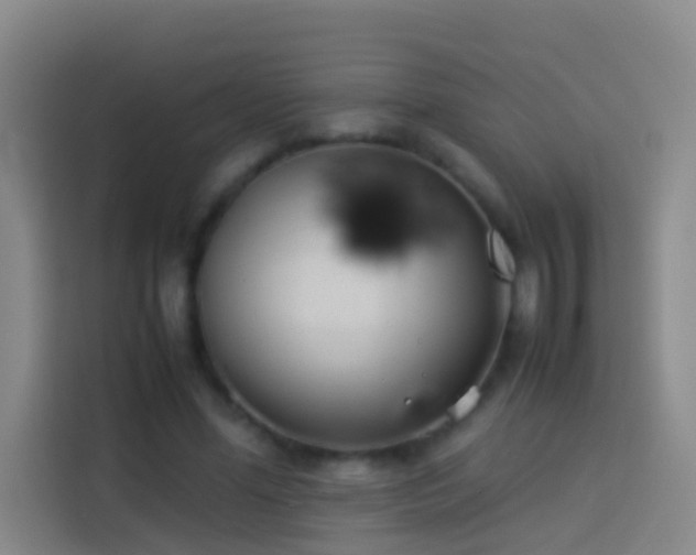 X0000113890588200910011324