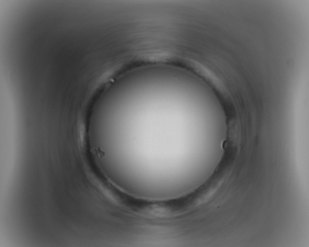 X0000113890589200910011324