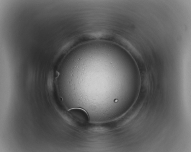 X0000113890590200910011324