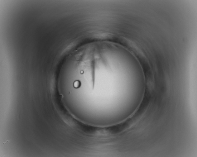 X0000113890591200910011324