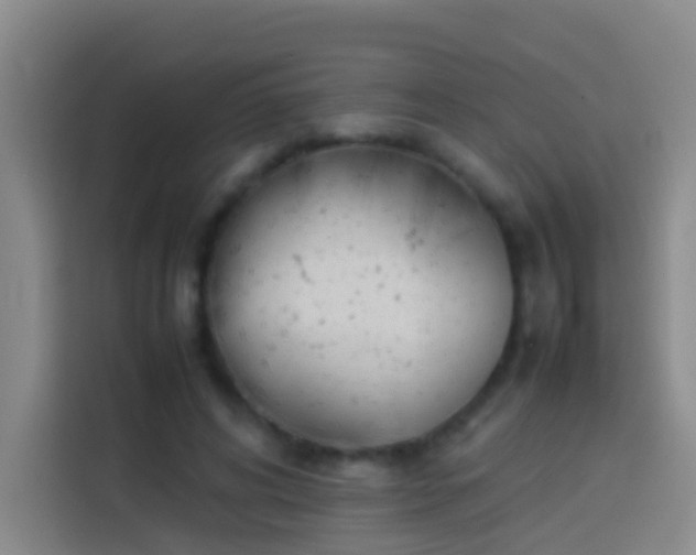 X0000113890592200910011324