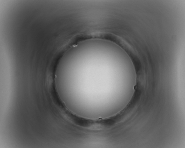 X0000113890593200910011324