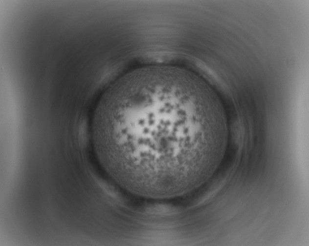 X0000113890594200910011324