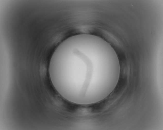 X0000113890595200910011324