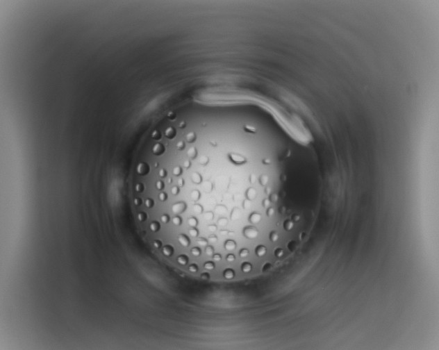 X0000113890596200910011324