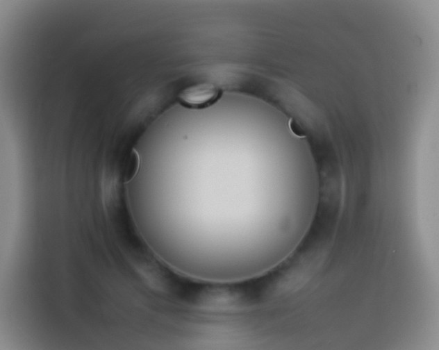 X0000113890597200910011324