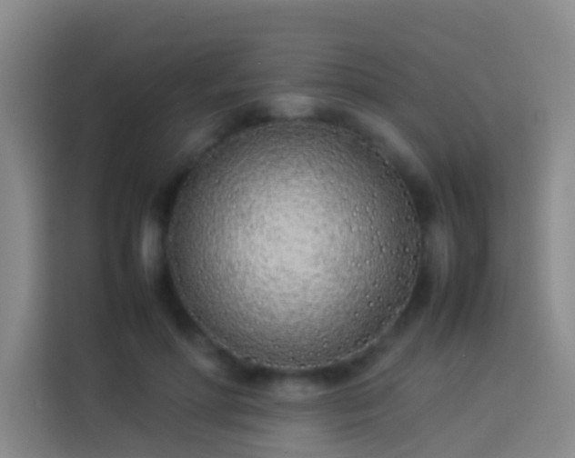 X0000113890598200910011324