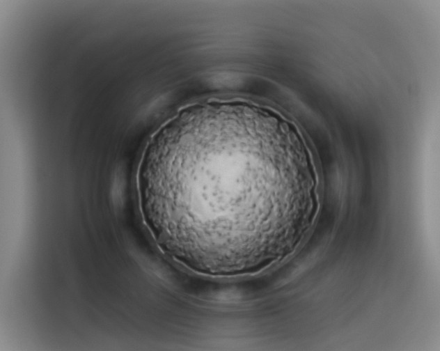 X0000113890600200910011324