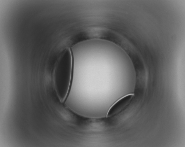 X0000113890601200910011324