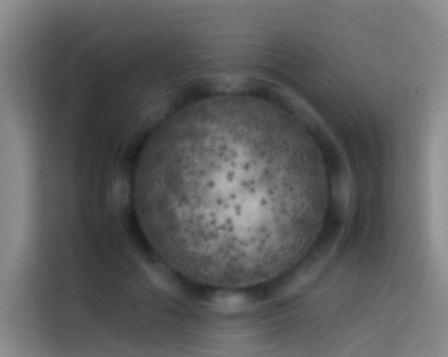 X0000113890602200910011324