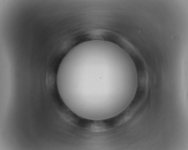 X0000113890603200910011324