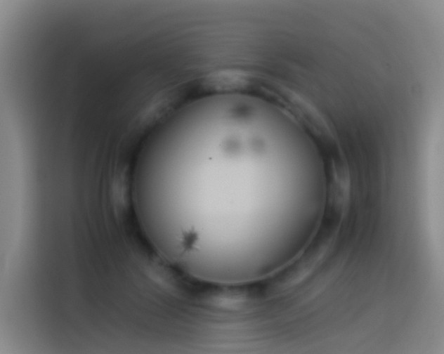 X0000113890604200910011324