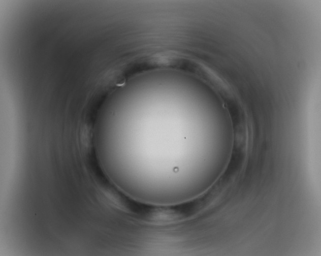 X0000113890605200910011324