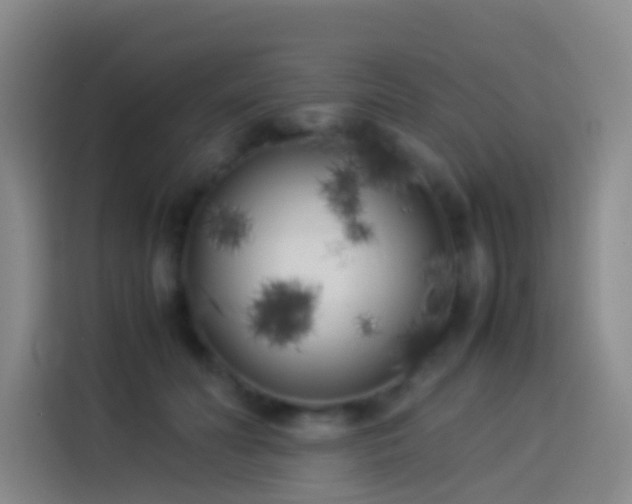 X0000113890606200910011324