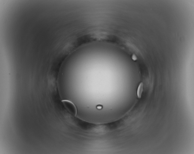 X0000113890609200910011324