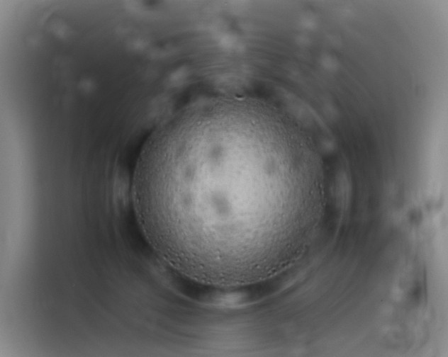 X0000113890610200910011324