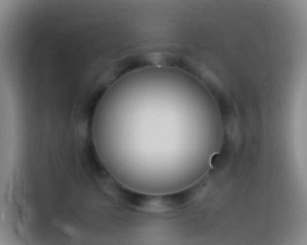 X0000113890611200910011324