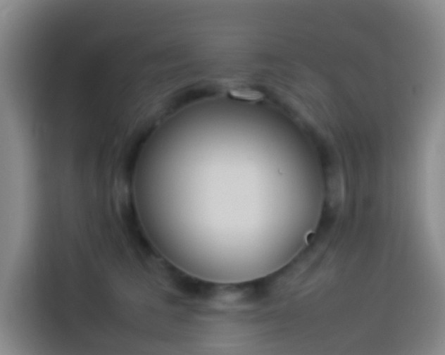 X0000113890613200910011324