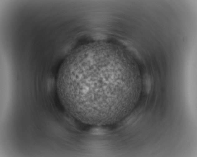 X0000113890614200910011324