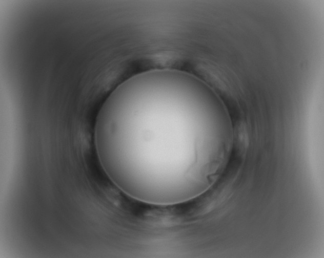 X0000113890615200910011324