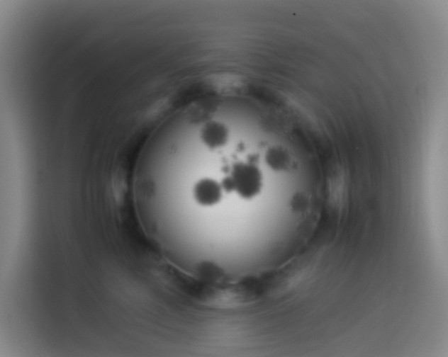 X0000113890618200910011324