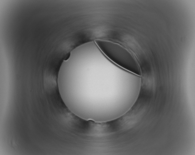 X0000113890621200910011324