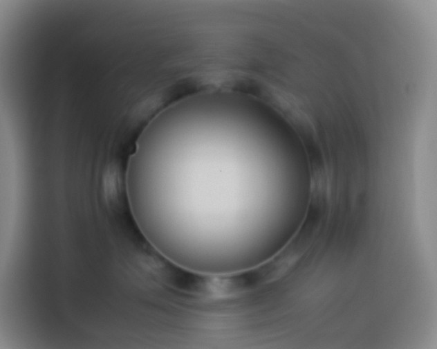 X0000113890623200910011324