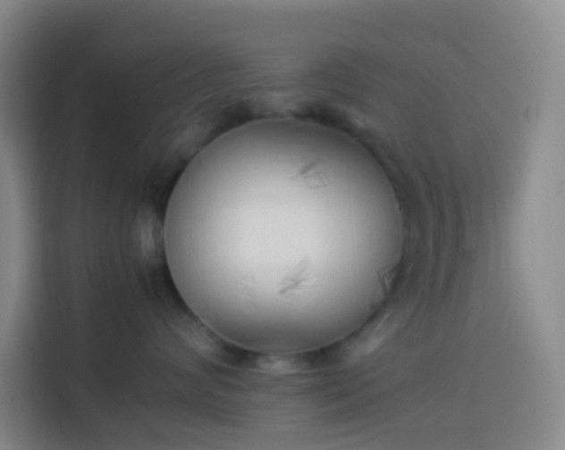 X0000113890624200910011324