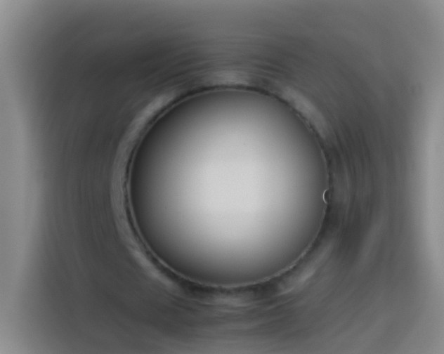 X0000113890625200910011323