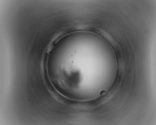 X0000113890626200910011323