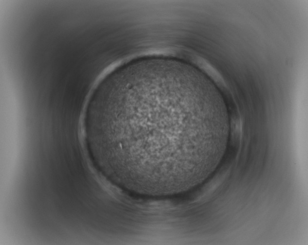 X0000113890628200910011323