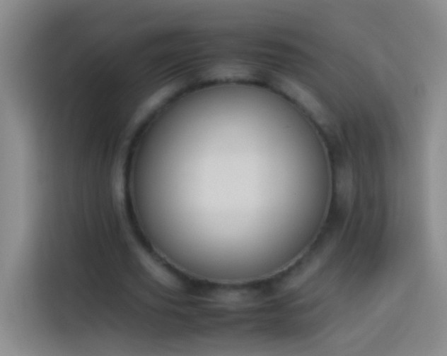 X0000113890629200910011323