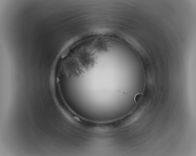 X0000113890630200910011323