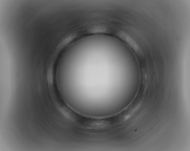 X0000113890631200910011323