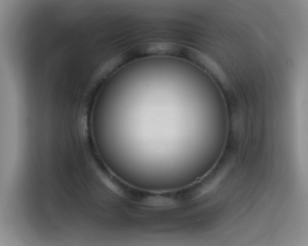 X0000113890633200910011323