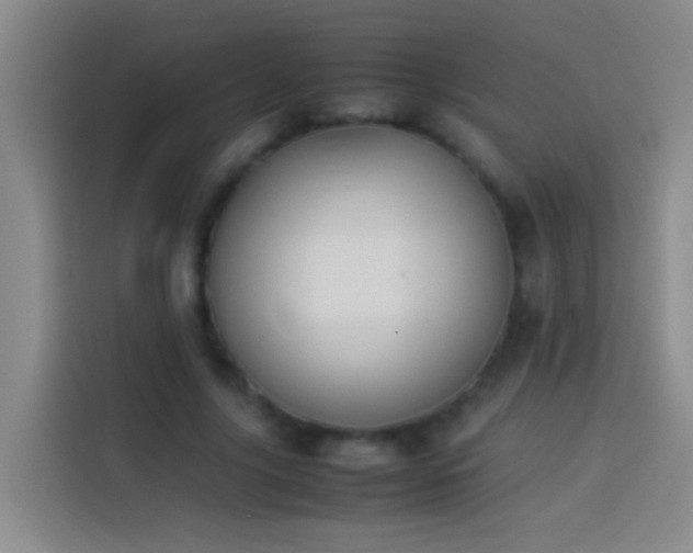 X0000113890635200910011323