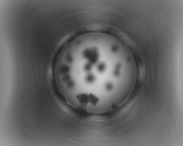 X0000113890636200910011323