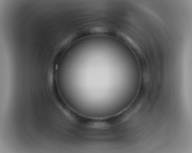 X0000113890637200910011323