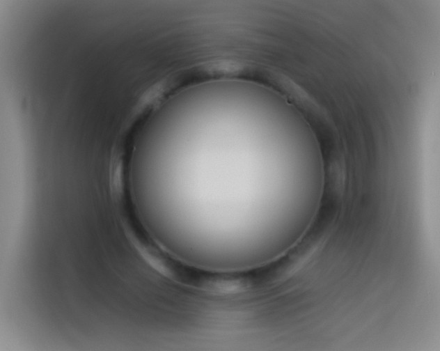 X0000113890638200910011323