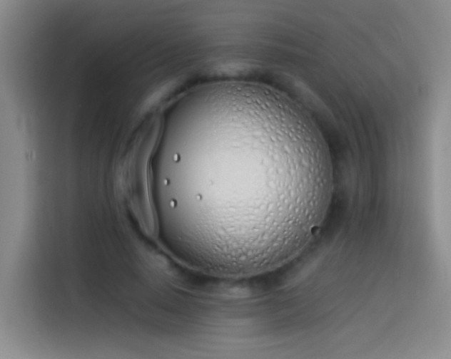 X0000113890640200910011323