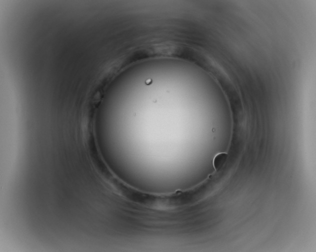 X0000113890641200910011323